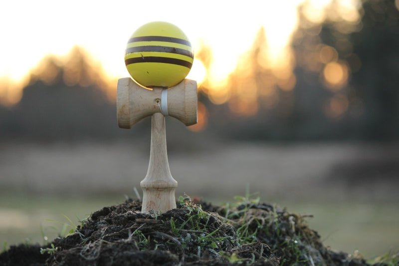Lets Talk About Kendama - Staheekum