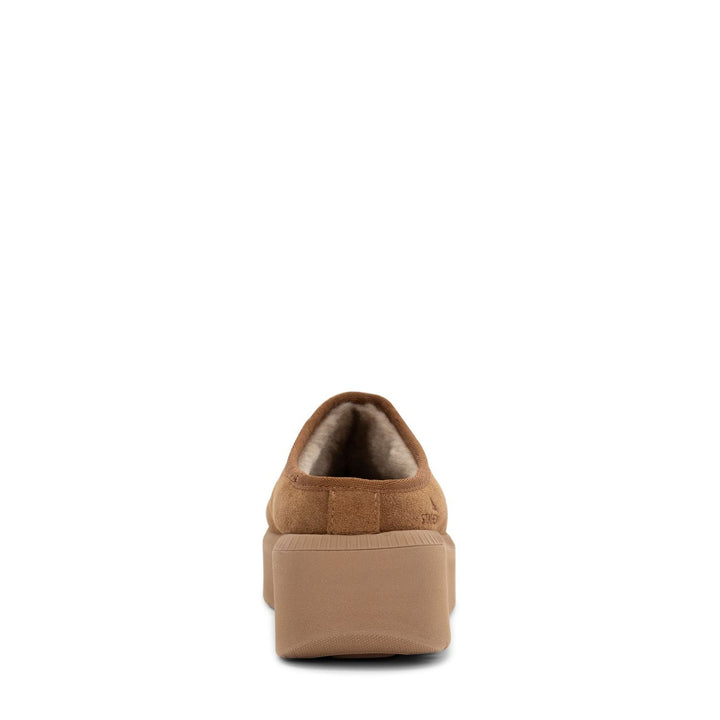 Women's Colville Classic Clog - Chestnut - Staheekum